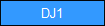 DJ1