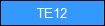 TE12