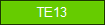 TE13