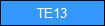 TE13