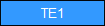 TE1