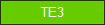 TE3