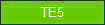 TE5