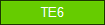 TE6